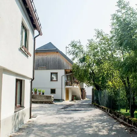Apartman Summer House Kot *